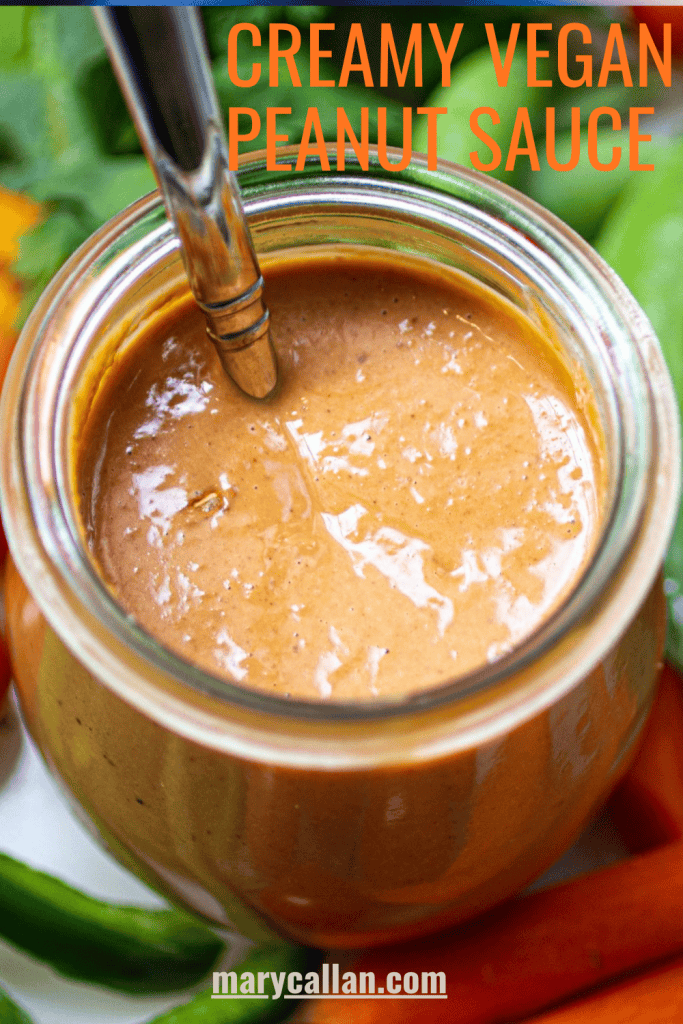 Vegan Thai Peanut Sauce